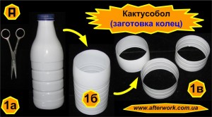 cactusBall_a1 Кактусобол