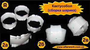 cactusBall_a2 Кактусобол