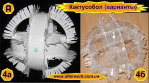 cactusBall_a4 Кактусобол