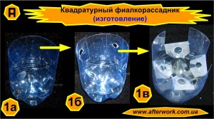 viola_a1 Квадратурный фиалкорассадник