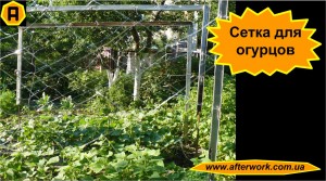 cucumbers_net_a0 Сетка для огурцов