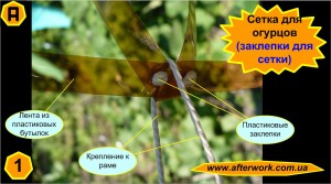 cucumbers_net_a1 Сетка для огурцов