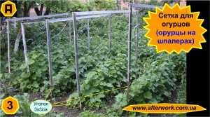 cucumbers_net_a3 Сетка для огурцов